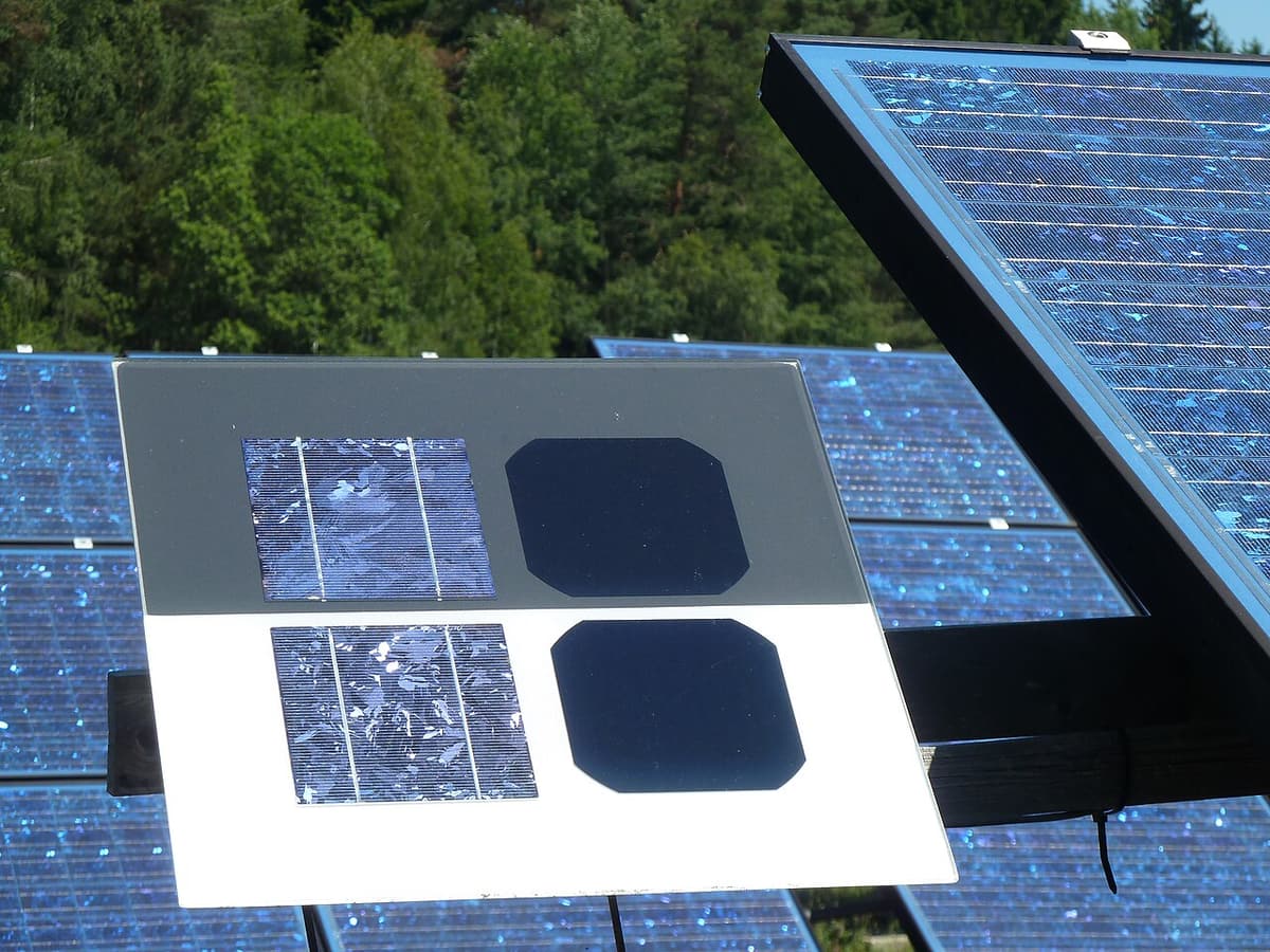 Échantillons de cellules solaires monocristallines et polycristallines