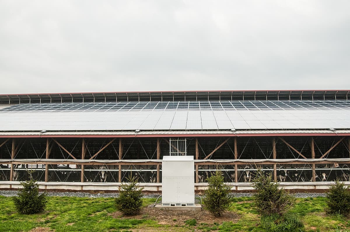 Étable avec panneaux solaires sur le toit et armoire électrique au sol