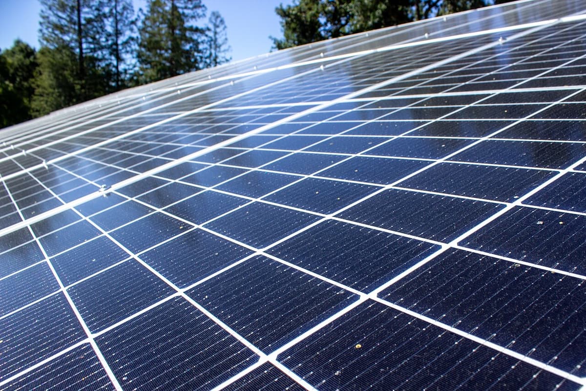 Panneaux solaires qui reflètent le ciel et les arbres