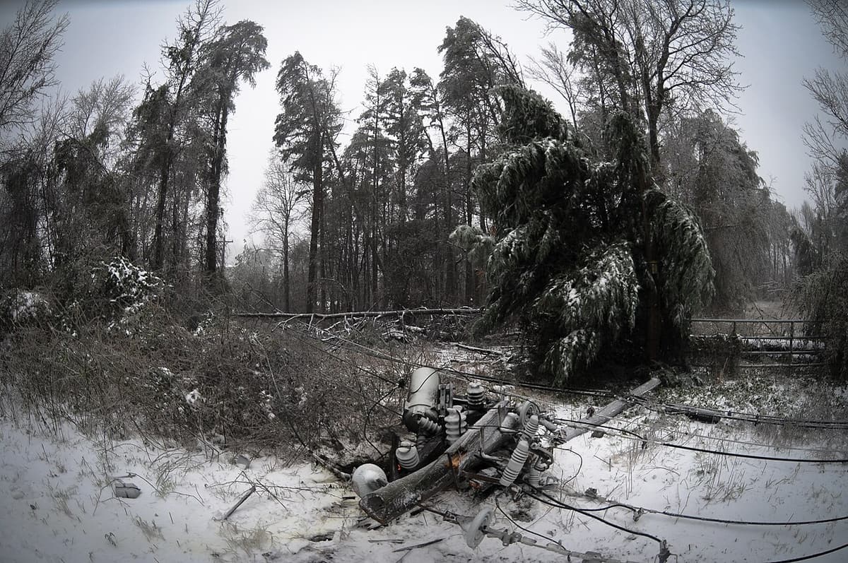 Arbres et branches tombés après une tempête de verglas