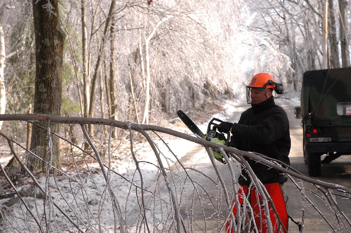 Travailleur qui coupe des branches tombées sous le poids du verglas