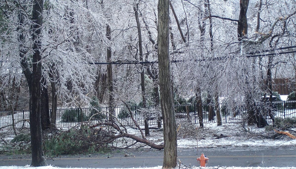 Quartier résidentiel aux arbres couverts de glace après une tempête